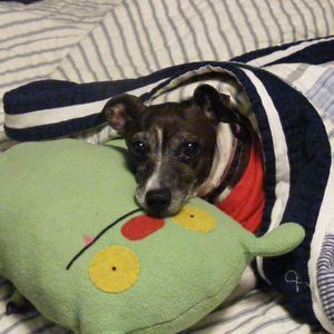 Meet your Posher, Christine